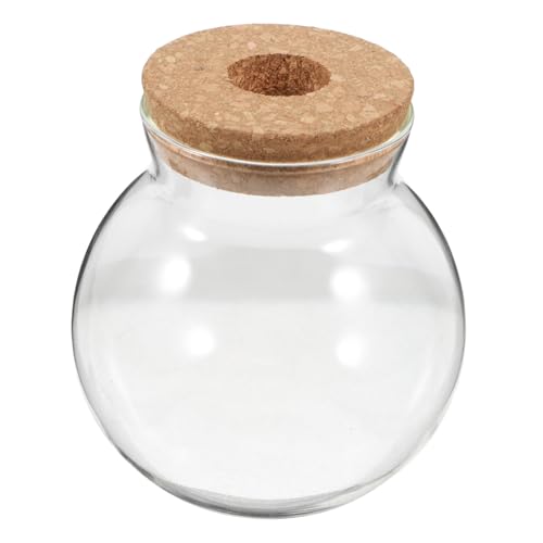 GALPADA Terrarium mit Korkdeckel Kleines Transparentes Hydroponik Vase Multifunktionales für Pflanzen Moos Farn Luftpflanzen Fischglas für Schreibtisch und Regal von GALPADA