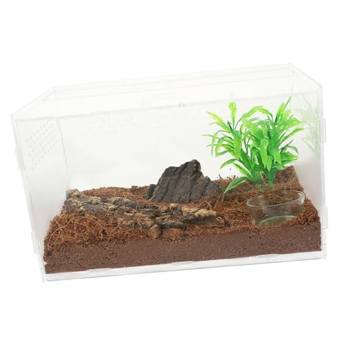 GALPADA Transparent Reptilien Zuchtbox für Schlangen Eidechsen und Spinnen mit Teiligem Zubehörset Leicht zu Reinigen aus Robustem Material für Verschiedene Reptilienarten von GALPADA