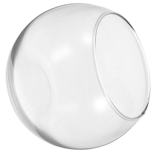 GALPADA Transparente Glasfischschale Große Glasvase Für Pflanzen Und Dekoration Terrarium Und Aquarium Für Desktop Wohnzimmer von GALPADA