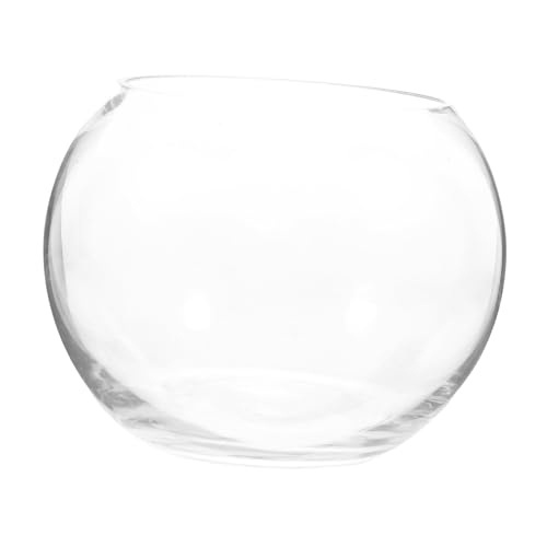 GALPADA Transparente Glasvase Schreibtischfischschale Langlebige Schüssel Für Pflanzen Terrarium Fische Und Dekoration Im Wohnzimmer von GALPADA
