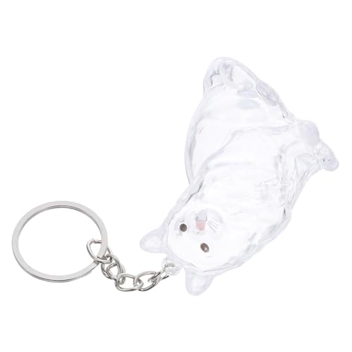 GALPADA Transparente Katzenhaar Aufbewahrungskapsel Schlüsselanhänger Tragbarer Katzenhaar Andenkenbehälter Sichtbare Haustierhaarsammlung Kreative Speicherbox für Katzenliebhaber von GALPADA