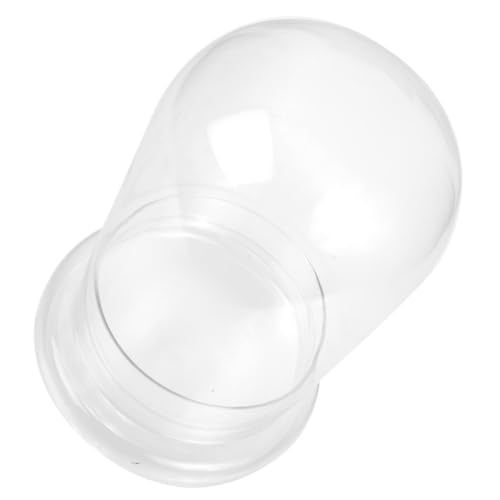 GALPADA Transparente Micro Landscape Glasflasche DIY Ökologisches Terrarium mit Belüftungsöffnung Kreativer Pflanzflaschen behälter für Tischdeko und Indoor Pflanzen GALPADA Transparente Micro Landscape Glasflasche DIY Ökologisches Terrarium mit Belüftungsöffnung Kreativer Pflanzflaschen behälter für Tischdeko und Indoor Pflanzen von GALPADA