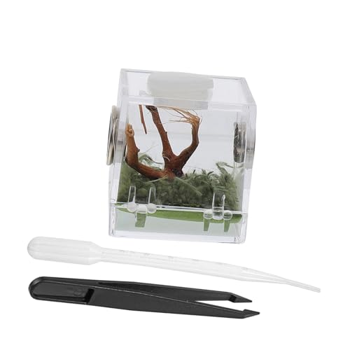 GALPADA Transparente Reptilien Aufzuchtbox aus Stabiles Zuchtgehäuse mit Belüftung Geeignet für Kleine Spinnen Insekten und Reptilien Praktisches Terrarium für Springende Spinnen und GALPADA Transparente Reptilien Aufzuchtbox aus Stabiles Zuchtgehäuse mit Belüftung Geeignet für Kleine Spinnen Insekten und Reptilien Praktisches Terrarium für Springende Spinnen und von GALPADA