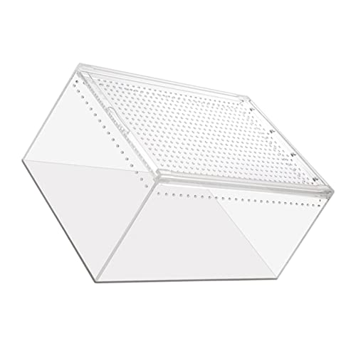 GALPADA Transparente Reptilienbox aus Multifunktionale Haustieraufbewahrung für Frösche Spinnen Schlangen und mit Belüftungslöchern zur Fluchtverhinderung von GALPADA