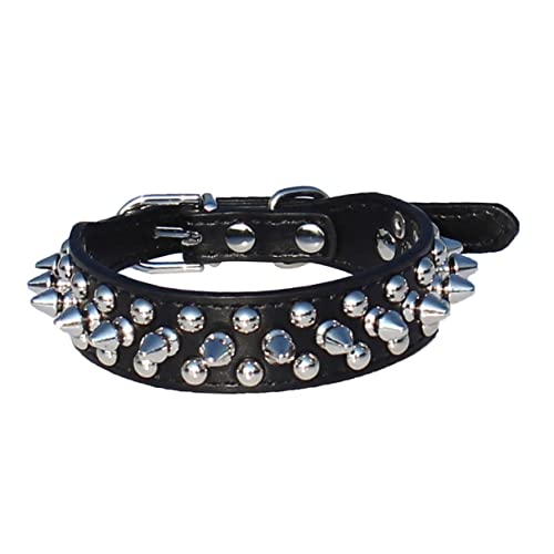 GALPADA Verstellbares PU Hundehalsband Mit Nieten Für Haustiere S Und Stilvolles Haustierhalsband Für Kleine Für Tägliche von GALPADA