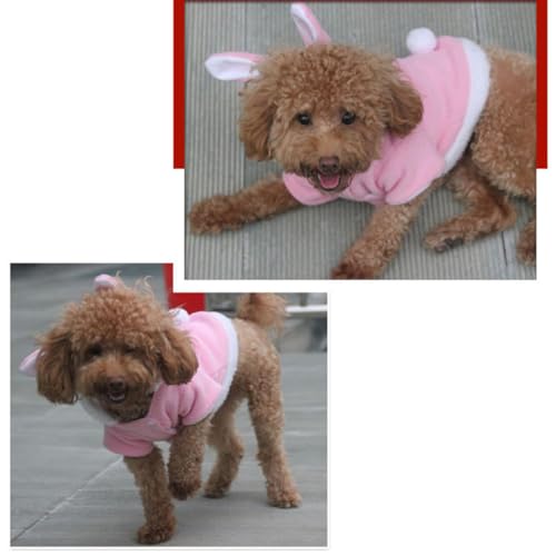 GALPADA Warme Haustierkleidung Kaninchen Kostüm mit Kapuze und Hasenohren Plüsch Winteroutfit für Kleine Hunde und Katzen für Halloween Weihnachten Fotoshootings von GALPADA