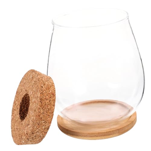 GALPADA Wasserpflanzen Glas Terrarium mit Holzuntersetzer Transparentes Pflanzgefäß für DIY Mikro-landschaften Dekorativer Pflanztopf für Wohn Büroräume Einfaches Ökosystem Accessoire GALPADA Wasserpflanzen Glas Terrarium mit Holzuntersetzer Transparentes Pflanzgefäß für DIY Mikro-landschaften Dekorativer Pflanztopf für Wohn Büroräume Einfaches Ökosystem Accessoire von GALPADA