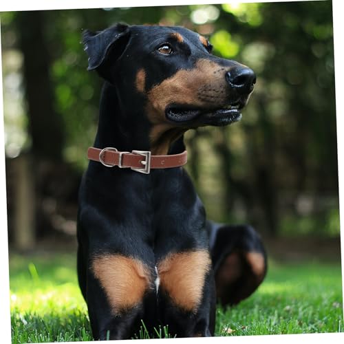 GALPADA Welpenhundkragen Einstellbarer Haustierkragen Kragen für Katzen weiche Katzenkragen Katzenkragenzubehör Kleiner Katzenkragen Kätzchenkragen Coffee GALPADA Welpenhundkragen Einstellbarer Haustierkragen Kragen für Katzen weiche Katzenkragen Katzenkragenzubehör Kleiner Katzenkragen Kätzchenkragen Coffee von GALPADA