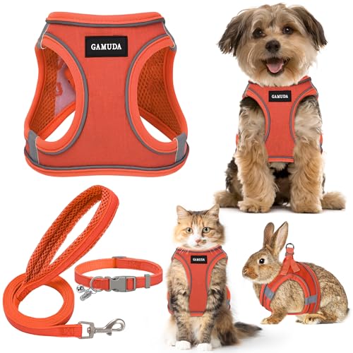 GAMUDA Hundegeschirr für kleine Haustiere, Halsband und Leine, kein Ziehen, Leinen-Stoff, weiches Netzgewebe, reflektierend, für Hunde, Welpen, Katzen, Kätzchen, Kaninchen (Orange, XS) von GAMUDA