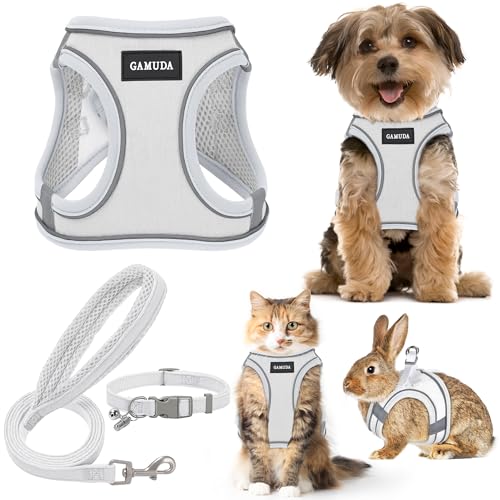 GAMUDA Set aus Halsband und Leine für kleine Haustiere, kein Einsteigen, kein Ziehen, Leinenstoff, weiches Netzgewebe, reflektierend, für Hunde, Welpen und Katzen, Outdoor-Training und Laufen (M, von GAMUDA