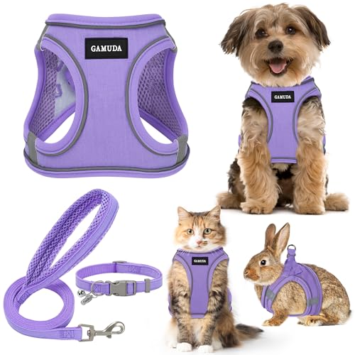 GAMUDA Set aus Halsband und Leine für kleine Haustiere, kein Einsteigen, kein Ziehen, Leinenstoff, weiches Netzgewebe, reflektierend, für Hunde, Welpen und Katzen, Outdoor-Training und Laufen (S, von GAMUDA