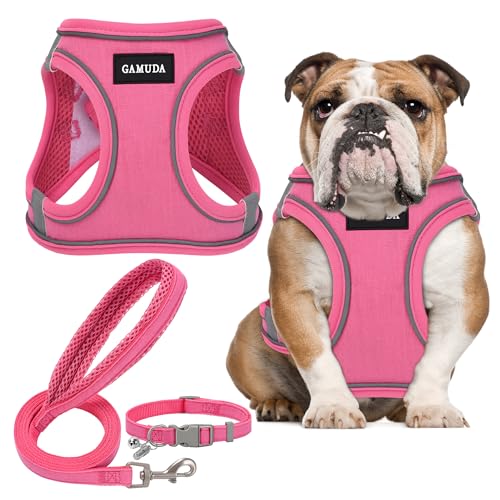 GAMUDA Set aus Halsband und Leine für kleine Haustiere, kein Einsteigen, kein Ziehen, Leinenstoff, weiches Netzgewebe, reflektierend, für Hunde, Welpen und Katzen, Outdoor-Training und Laufen (XL, von GAMUDA