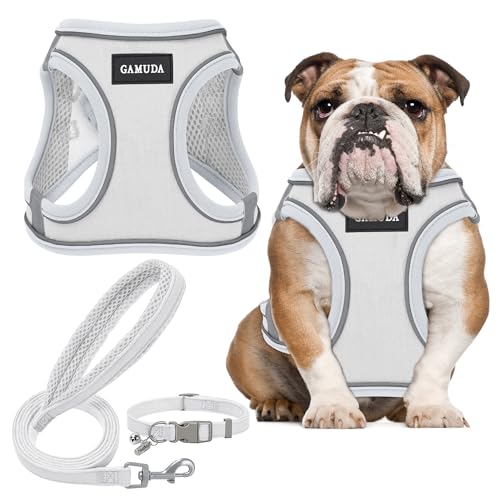 GAMUDA Set aus Halsband und Leine für kleine Haustiere, kein Einsteigen, kein Ziehen, Leinenstoff, weiches Netzgewebe, reflektierend, für Hunde, Welpen und Katzen, Outdoor-Training und Laufen (XL, von GAMUDA