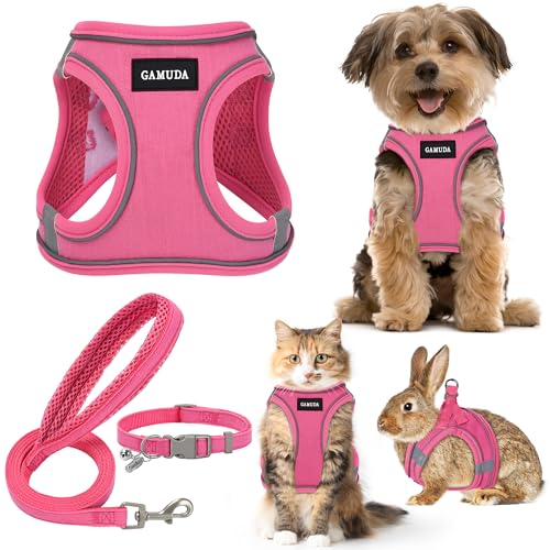 GAMUDA Set aus Halsband und Leine für kleine Haustiere, kein Einsteigen, kein Ziehen, Leinenstoff, weiches Netzgewebe, reflektierend, für Hunde, Welpen und Katzen, Outdoor-Training und Laufen (XXS, von GAMUDA