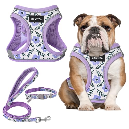 GAMUDA Set aus Halsband und Leine für kleine Haustiere, kein Einsteigen, kein Ziehen, weiches Netz, verstellbar, kariert, reflektierend, für Hunde, Welpen und Katzen, Outdoor-Training (Lila Blume, L) von GAMUDA