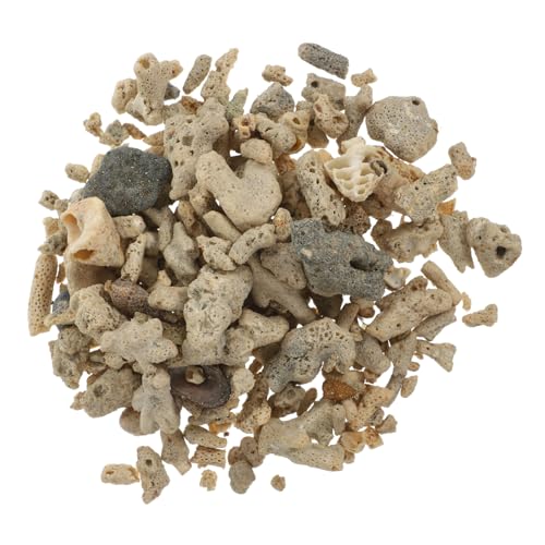 GANAZONO Aquarium-Ornament Zerkleinerter Korallensand Als Steindekor Natürlicher Landschaftsstein für Süßwasser Einfach Zu Verwenden und Aufzubewahren GANAZONO Aquarium-Ornament Zerkleinerter Korallensand Als Steindekor Natürlicher Landschaftsstein für Süßwasser Einfach Zu Verwenden und Aufzubewahren von GANAZONO