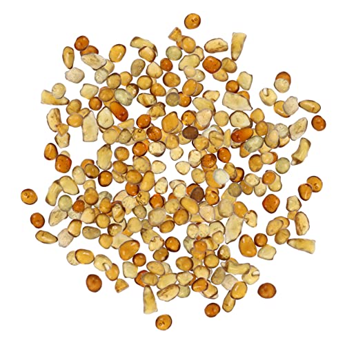 GANAZONO 500 G Bunte Glaskristallsteine Set Für Aquarium Dekoration Kein Ausbleichen Kein Zubehör Für Schildkrötenbecken GANAZONO 500 G Bunte Glaskristallsteine Set Für Aquarium Dekoration Kein Ausbleichen Kein Zubehör Für Schildkrötenbecken von GANAZONO