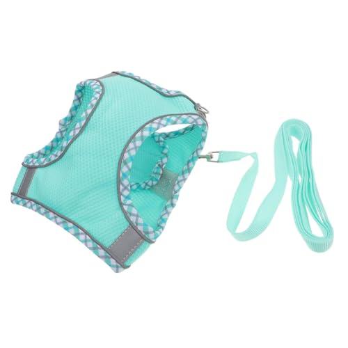 GANAZONO 1 Satz Transportbox Für Haustiere Leine Führen Hund Ausbildung Geschirr Welpenweste Haustierkabelbaum Polyester Sky-Blue von GANAZONO