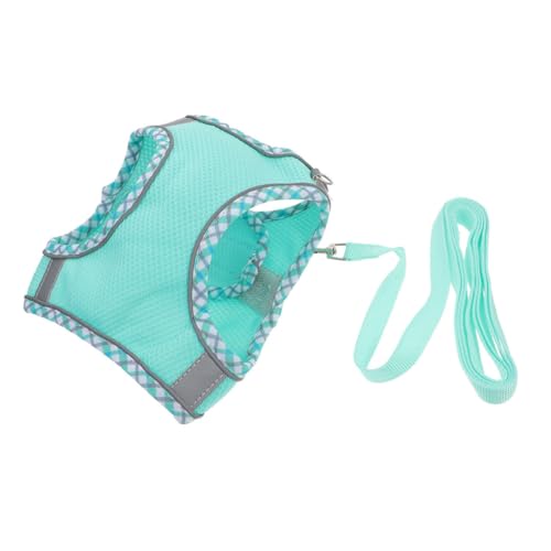 GANAZONO 1 Satz Transportbox für Haustiere hundezubehör leichtes hundegeschirr Haustierzubehör Leine Körperpflege gehen Haustierkabelbaum Welpengeschirr für den Haushalt Polyester Sky-Blue von GANAZONO