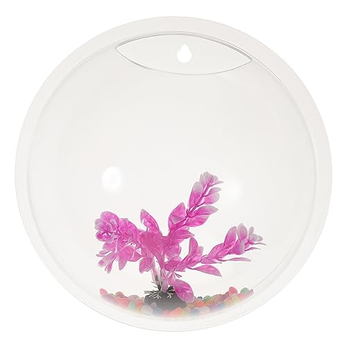 GANAZONO 1satz Wandmontierter Pflanzenbehälter Aus Acryl Transparente Fischschüssel Dekorative Wandvase Für Pflanzen Und Kleine Fische ø Für Kreative Wandgestaltungen GANAZONO 1satz Wandmontierter Pflanzenbehälter Aus Acryl Transparente Fischschüssel Dekorative Wandvase Für Pflanzen Und Kleine Fische ø Für Kreative Wandgestaltungen von GANAZONO