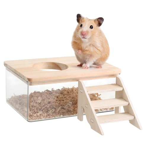 GANAZONO 1 Set Hamster Badezimmer Hamster Stufen Hamster Sandbad Mit Leiter Hamster Aktivitätsstruktur Für Haustiere Hamster Badesand Hamster Lebensraum Zubehör Chinchilla GANAZONO 1 Set Hamster Badezimmer Hamster Stufen Hamster Sandbad Mit Leiter Hamster Aktivitätsstruktur Für Haustiere Hamster Badesand Hamster Lebensraum Zubehör Chinchilla von GANAZONO