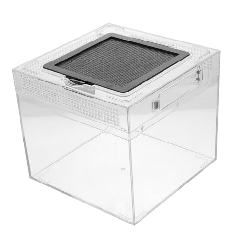 GANAZONO 1 Stück Transparente Reptilien Fütterungsbox aus Kletterbehälter für Spinnen Geckos und Kleine Haustiere mit Belüftungsöffnungen für Optimales GANAZONO 1 Stück Transparente Reptilien Fütterungsbox aus Kletterbehälter für Spinnen Geckos und Kleine Haustiere mit Belüftungsöffnungen für Optimales von GANAZONO