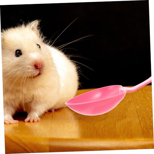 GANAZONO 10 Stück Teiliges Futterlöffel für Haustiere mit Tiefem Schaufelboden Langlebig Leicht und Kompakt als Reptilien Hamsterfutterscoop in Tiefroter Farbe von GANAZONO