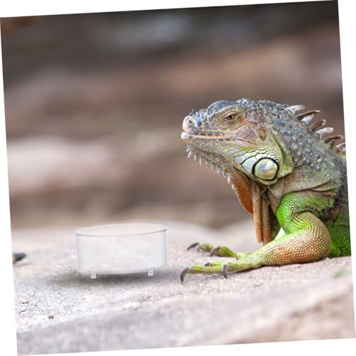 GANAZONO 10 Stück Teiliges Reptilien Futternapf aus Resin rutschfest Vielseitig Einsetzbar als Wasserschale und Futterschale für Schildkröten Eidechsen und Kleine Reptilien Leicht zu von GANAZONO
