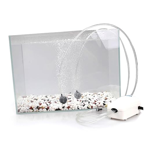 GANAZONO 12pcs 20x20mm Runde Luftpumpe Aquarium Diffusor Airstones Für Süßwasser Aquarium Hohe Rate Sicher von GANAZONO