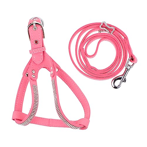 GANAZONO 1Satz Hundegeschirr Set mit Leine und Halsband Verstellbarer Atmungsaktiver Brustgurt für Outdoor Aktivitäten Komfortabel Hautfreundlich Transportieren GANAZONO 1Satz Hundegeschirr Set mit Leine und Halsband Verstellbarer Atmungsaktiver Brustgurt für Outdoor Aktivitäten Komfortabel Hautfreundlich Transportieren von GANAZONO