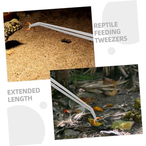 GANAZONO 2 Stück Reptilien Futterzange Metallpinzette Gerade Gebogen Langlebig Schont Aquarienpflanzen für Schwer Erreichbare Stellen Vielseitig Einsetzbar bei Terrarienfütterung GANAZONO 2 Stück Reptilien Futterzange Metallpinzette Gerade Gebogen Langlebig Schont Aquarienpflanzen für Schwer Erreichbare Stellen Vielseitig Einsetzbar bei Terrarienfütterung von GANAZONO