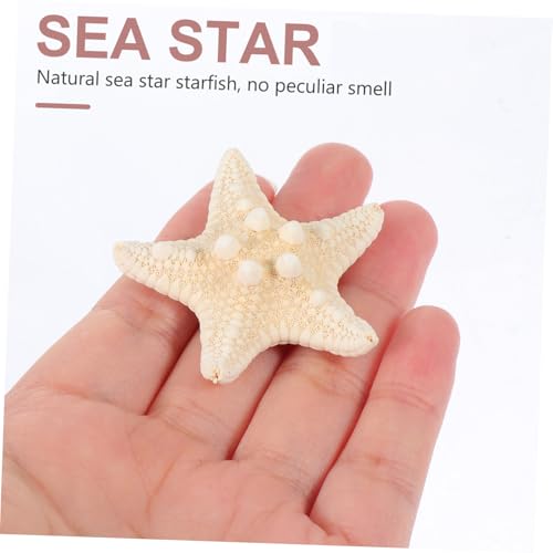 GANAZONO 2 Stück Teiliges Natürliches DIY Aquarium Deko Ornament Handgemacht Langlebig für Bastelarbeiten und Aquarien Zubehör in Warmem Gelb von GANAZONO