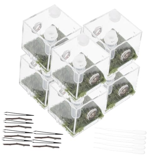GANAZONO 2Sätze Transparenter Käfig für Springspinnen Insekten Terrarium Futterbox für Reptilien für Kleine mit Belüftung und Sicherer Abdeckung GANAZONO 2Sätze Transparenter Käfig für Springspinnen Insekten Terrarium Futterbox für Reptilien für Kleine mit Belüftung und Sicherer Abdeckung von GANAZONO