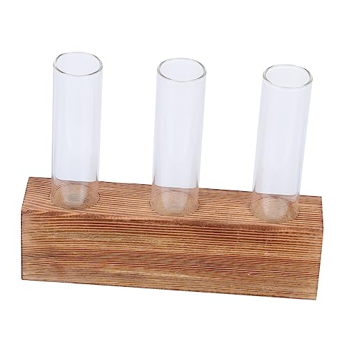 GANAZONO 3 Sätze Hydroponik-Rack Terrarienvase Mit Gestell Luft Tischterrarium Pflanzständer Vermehrungsvase Terrarium-kit Hydroponische Röhrenvase Hölzern Hausbedarf Büro Holz Pflanze Glas von GANAZONO