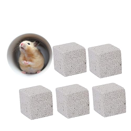 GANAZONO Kauspielzeug 5 Stück Für Hamster Chinchilla Kauspielzeug 4 5 cm Für Die Fellpflege Von Haustieren von GANAZONO