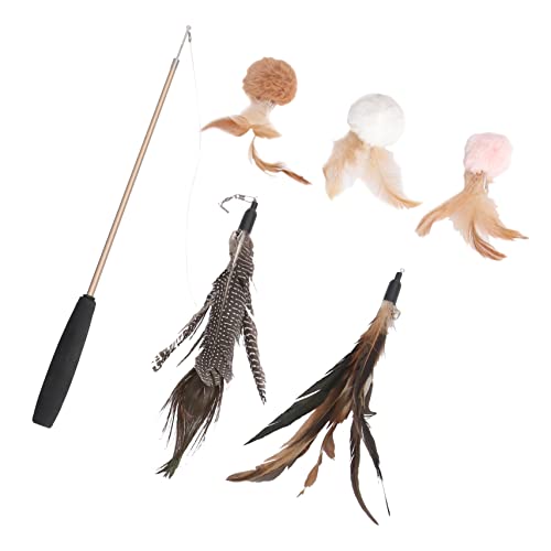 GANAZONO 6Stücke Teiliges Katzen Katzenfeder Teaser Stick Mit Ersatzfedern Interaktive Katzennecken Angel Für Haustiere Katzenspielzeug Für Spaß Und Bewegung GANAZONO 6Stücke Teiliges Katzen Katzenfeder Teaser Stick Mit Ersatzfedern Interaktive Katzennecken Angel Für Haustiere Katzenspielzeug Für Spaß Und Bewegung von GANAZONO