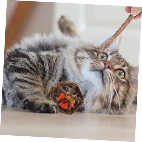 GANAZONO 7 Stück Teiliges Katzenspielzeug aus Robustem Material Langlebige Kausticks und Glockenbälle zur Zahnpflege und Beschäftigung von Katzen und Kätzchen Fördert Gesundes Kauen und von GANAZONO