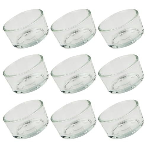 GANAZONO 9 Stück Teiliges Terrarium Futter und Wassernapf aus für Reptilien für Schildkröten Geckos und Schlangen Bruchsicher und Leicht zu Reinigen für Futter und Wasser von GANAZONO