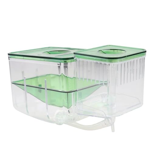 GANAZONO Aquarium Aufzuchtbecken Isolationsbox aus Transparentem Brutkasten für Fischbrut und Jungfische Schützt vor Angriffen Verbessert Überlebensrate Geeignet für Fisch und Garnelenzucht GANAZONO Aquarium Aufzuchtbecken Isolationsbox aus Transparentem Brutkasten für Fischbrut und Jungfische Schützt vor Angriffen Verbessert Überlebensrate Geeignet für Fisch und Garnelenzucht von GANAZONO