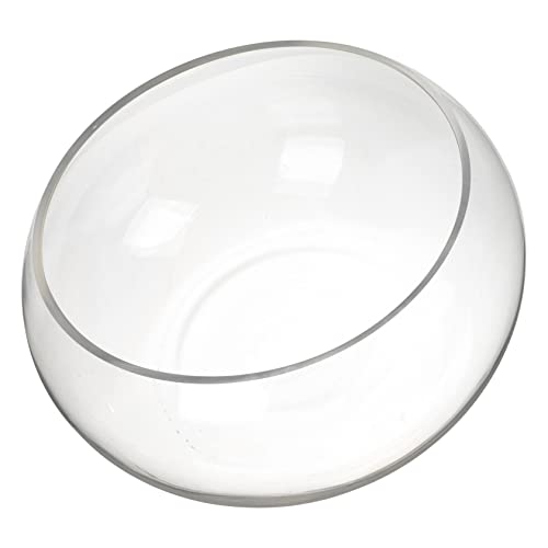 GANAZONO Fischbecken Aus Glas Anlage Schüssel Fischglasvase Künstliche Tank Blase Vermehrung Großes Fischglas Fischschalen Für Aquarium Licht Led Gewöhnliches Glas GANAZONO Fischbecken Aus Glas Anlage Schüssel Fischglasvase Künstliche Tank Blase Vermehrung Großes Fischglas Fischschalen Für Aquarium Licht Led Gewöhnliches Glas von GANAZONO