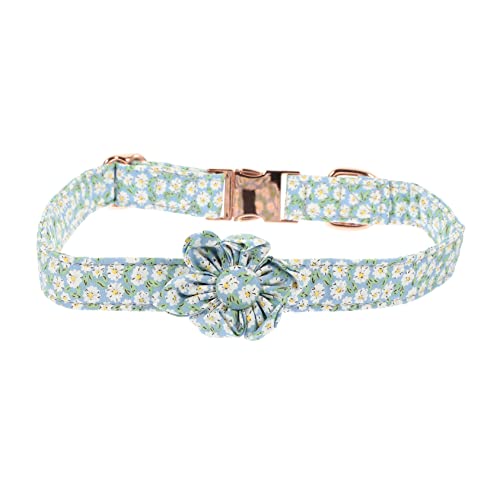 GANAZONO Haustierhalsband hundezubehör Dog Accessories Haustierdekoration Hundesitzbezug gravierte Erkennungsmarken für Haustiere Windeln Welpenhalsband Halsband für Hunde Reine Baumwolle GANAZONO Haustierhalsband hundezubehör Dog Accessories Haustierdekoration Hundesitzbezug gravierte Erkennungsmarken für Haustiere Windeln Welpenhalsband Halsband für Hunde Reine Baumwolle von GANAZONO