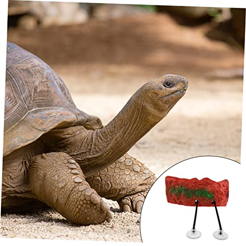 GANAZONO Aquarium-Dekoration Schildkröten-sonnenplattform Von Fish Tank Platform Schildkrötenterrasse Reptilienterrasse Float Decor GANAZONO Aquarium-Dekoration Schildkröten-sonnenplattform Von Fish Tank Platform Schildkrötenterrasse Reptilienterrasse Float Decor von GANAZONO