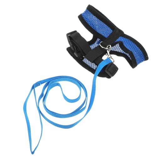 GANAZONO Hühnergeschirr mit Leine Atmungsaktive Gänse und Entenweste Verstellbare Haustierversorgung für Kleine Tiere für Outdoor Aktivitäten Robust und GANAZONO Hühnergeschirr mit Leine Atmungsaktive Gänse und Entenweste Verstellbare Haustierversorgung für Kleine Tiere für Outdoor Aktivitäten Robust und von GANAZONO