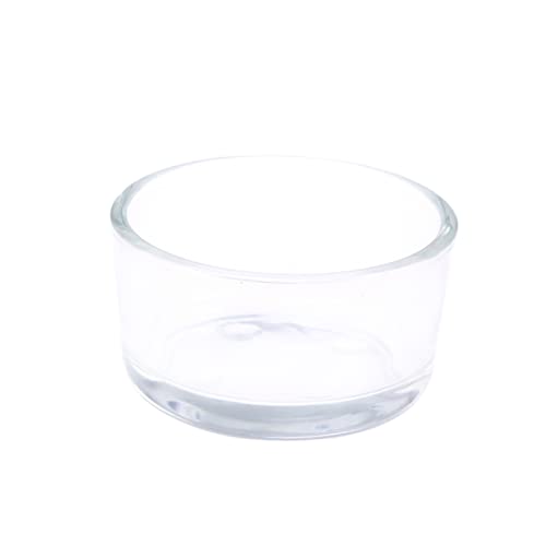GANAZONO Klarglas Reptilienfutterschale Schale für Garnelen Kleine Fische und Reptilien Hochwertiges Langlebiges für Dekorative Terrarien und Aquarien GANAZONO Klarglas Reptilienfutterschale Schale für Garnelen Kleine Fische und Reptilien Hochwertiges Langlebiges für Dekorative Terrarien und Aquarien von GANAZONO