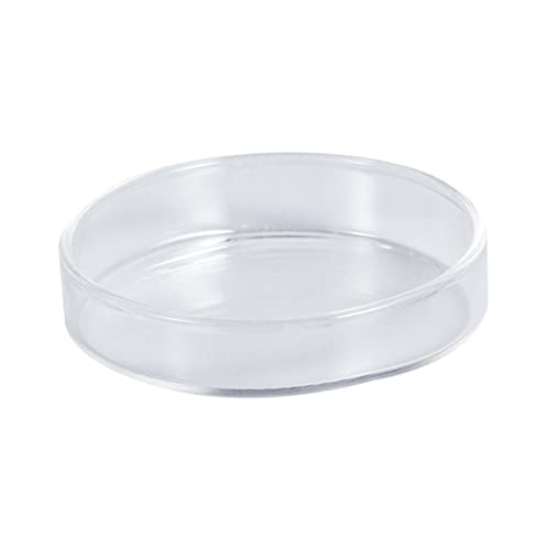 GANAZONO Kristallglas Garnelenfutter Schüssel Futterdose Für Zierfische Glasfütterungsbehälter Für Aquarien Für Garnelen Und Kleine Fische GANAZONO Kristallglas Garnelenfutter Schüssel Futterdose Für Zierfische Glasfütterungsbehälter Für Aquarien Für Garnelen Und Kleine Fische von GANAZONO