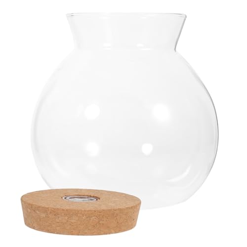 GANAZONO LED glasflasche mit LED licht DIY Micro Landschaftsflasche Multifunktionaler Ökosystem behälter für Fischtank Blumenarrangement und Kreative Raumdekoration GANAZONO LED glasflasche mit LED licht DIY Micro Landschaftsflasche Multifunktionaler Ökosystem behälter für Fischtank Blumenarrangement und Kreative Raumdekoration von GANAZONO