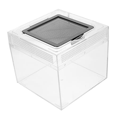 GANAZONO Reptilien Futterbox für Vogelspinnen und Eidechsen Hochtransparente Aufzuchtbox mit Magnetischem Verschluss Kompakte Terrarium Lösung für Einfache Pflege und Fütterung für von GANAZONO