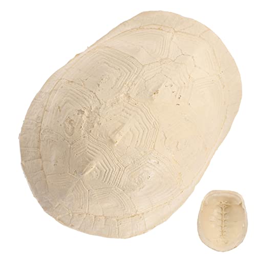 GANAZONO Schildkröten Basking aus Resin Kletterstruktur für Aquarien und Terrarien Unterschlupf für Kleine Reptilien und Sichere Umgebung Sonnenbaden GANAZONO Schildkröten Basking aus Resin Kletterstruktur für Aquarien und Terrarien Unterschlupf für Kleine Reptilien und Sichere Umgebung Sonnenbaden von GANAZONO