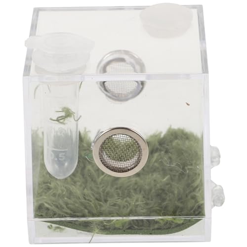 GANAZONO Spinnen Terrarium Käfig mit Hohem Sichtfenster Stabiles Kleines Zuchtgehäuse für Springspinnen und Reptilien Leichtes Insektenaufzuchtbecken für Sicheres Beobachten und Pflege von GANAZONO