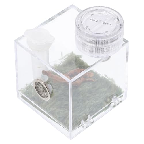 GANAZONO Spinnenlebensraum Box für Springende Spinnen Terrarienbehälter Luftfeuchtigkeitskontrolle für Zucht Kleiner Spinnen und Insekten von GANAZONO